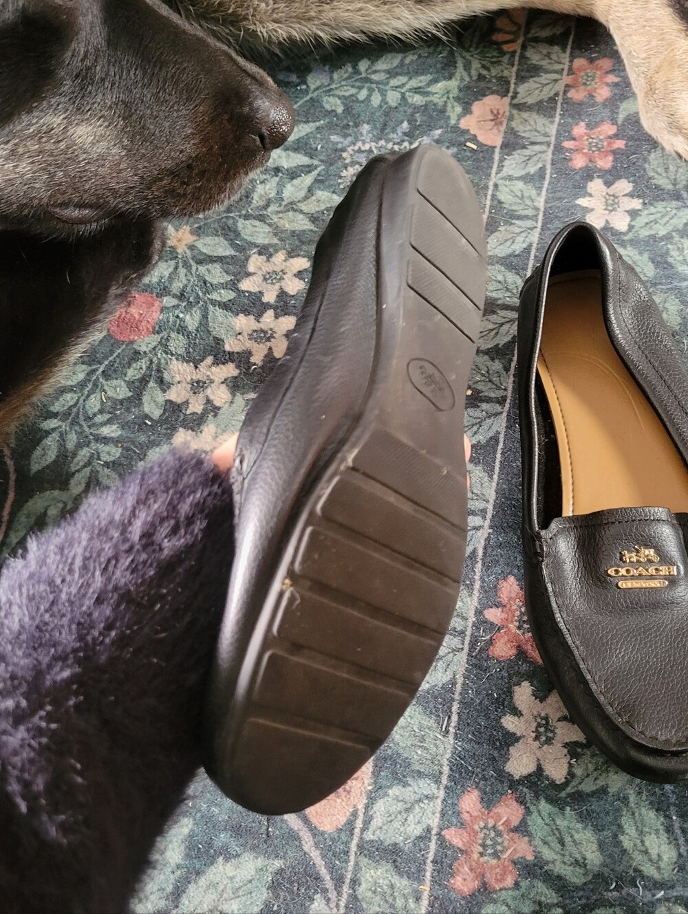 Coach Loafers - Picture 4 of 6